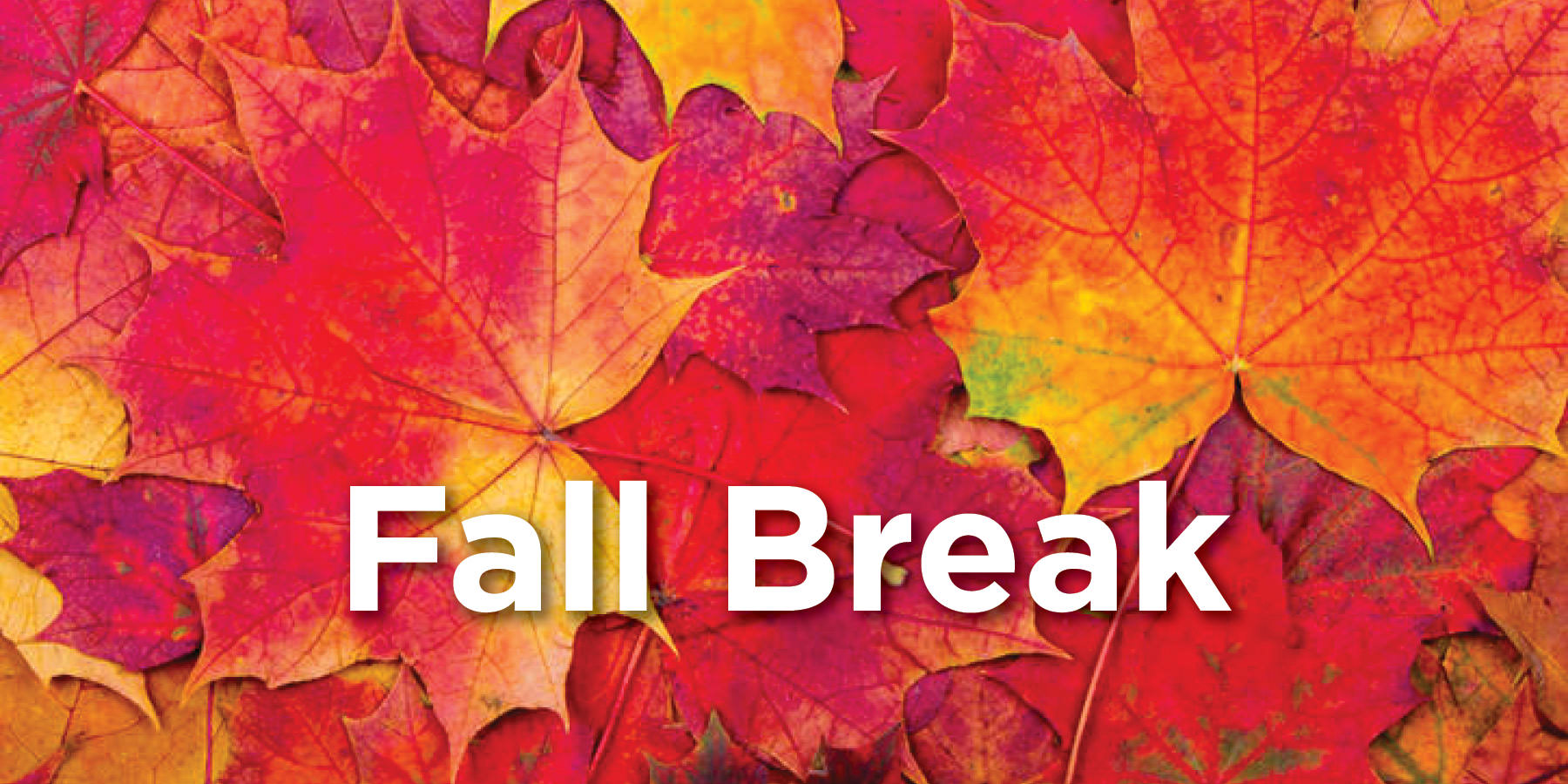 fall break 2021